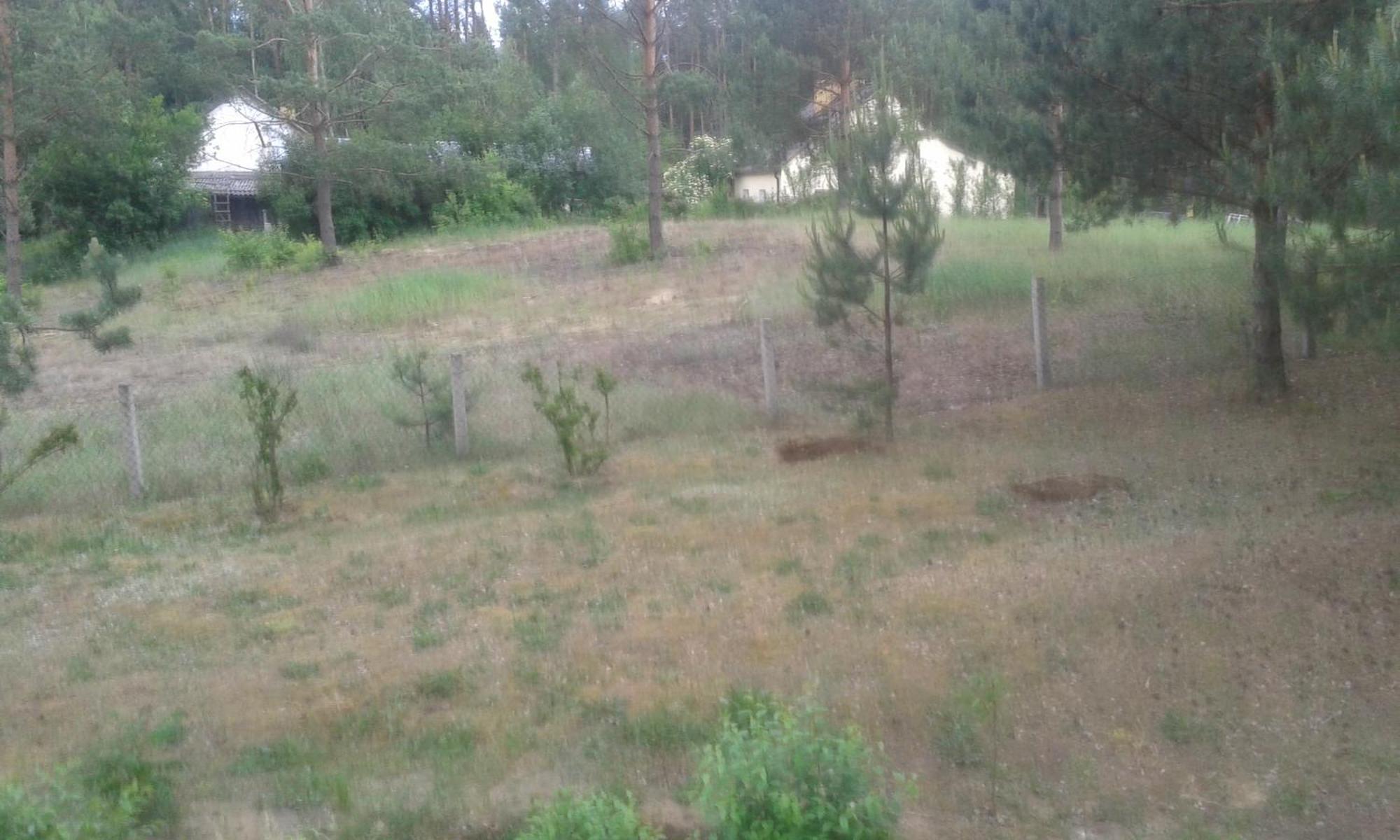 Domek Lesna Przystan Strekowizna Exterior foto